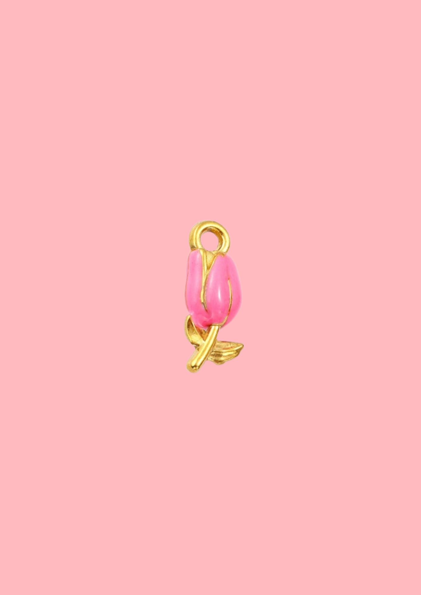Charms rose