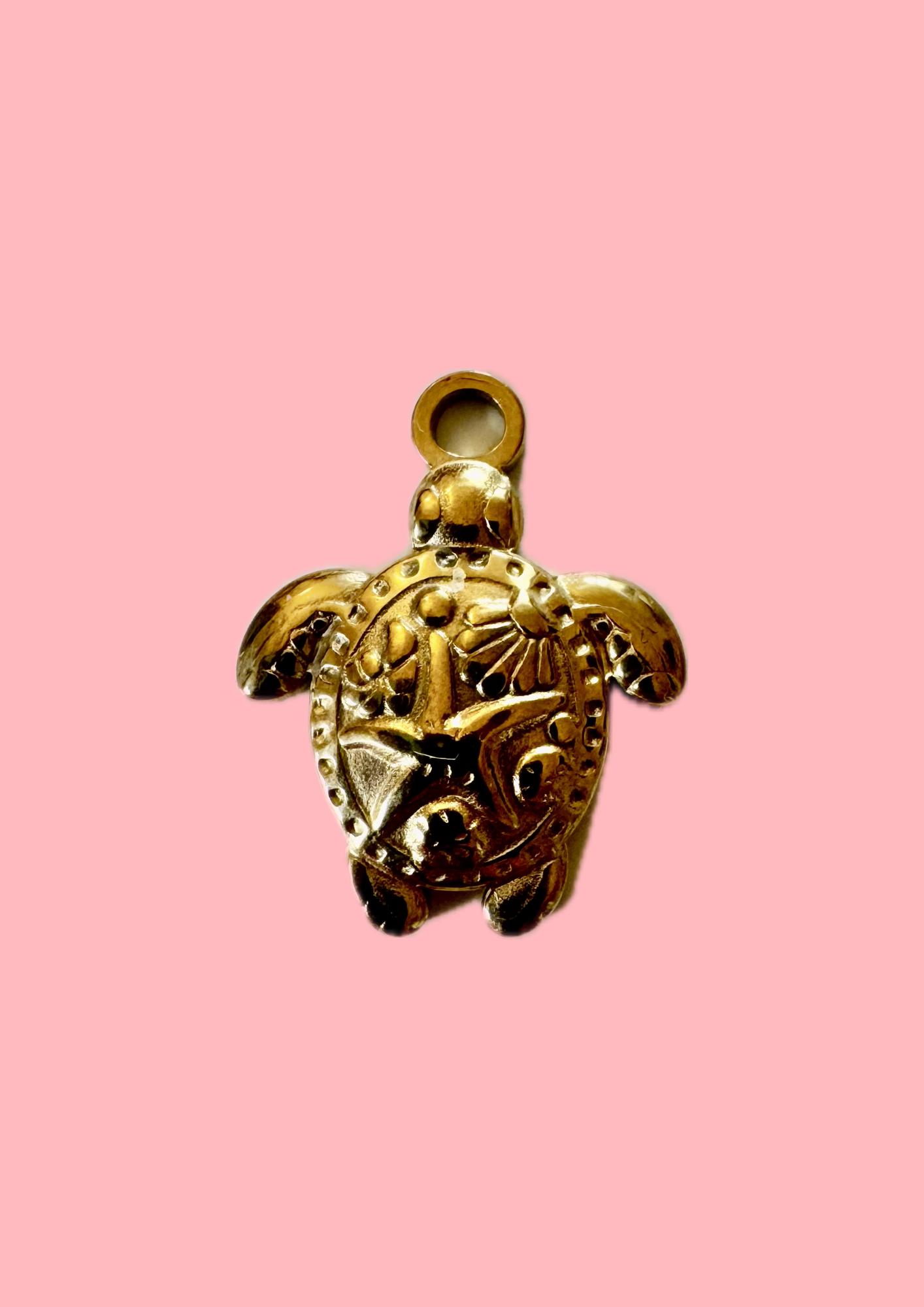 Charms tortue