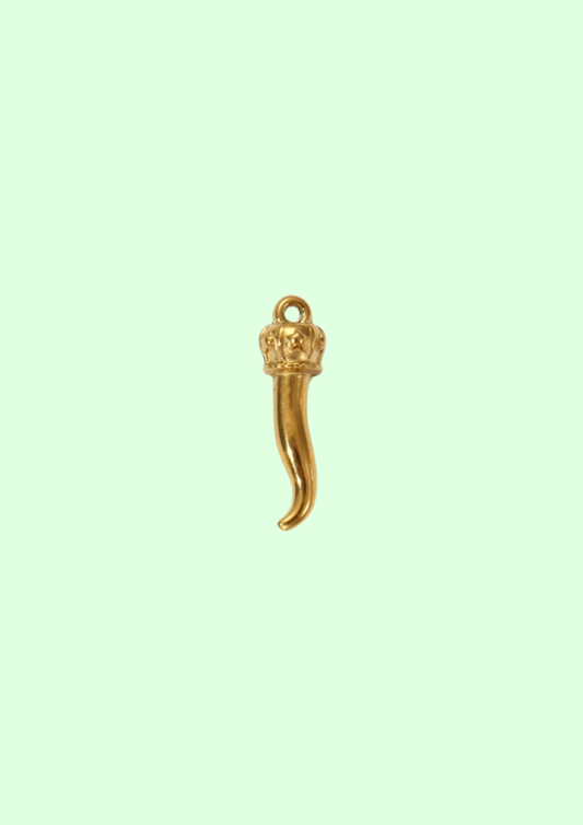 Charms jalapi doré