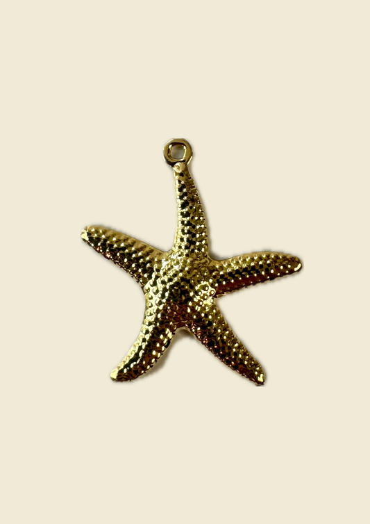 Charms étoile de mer